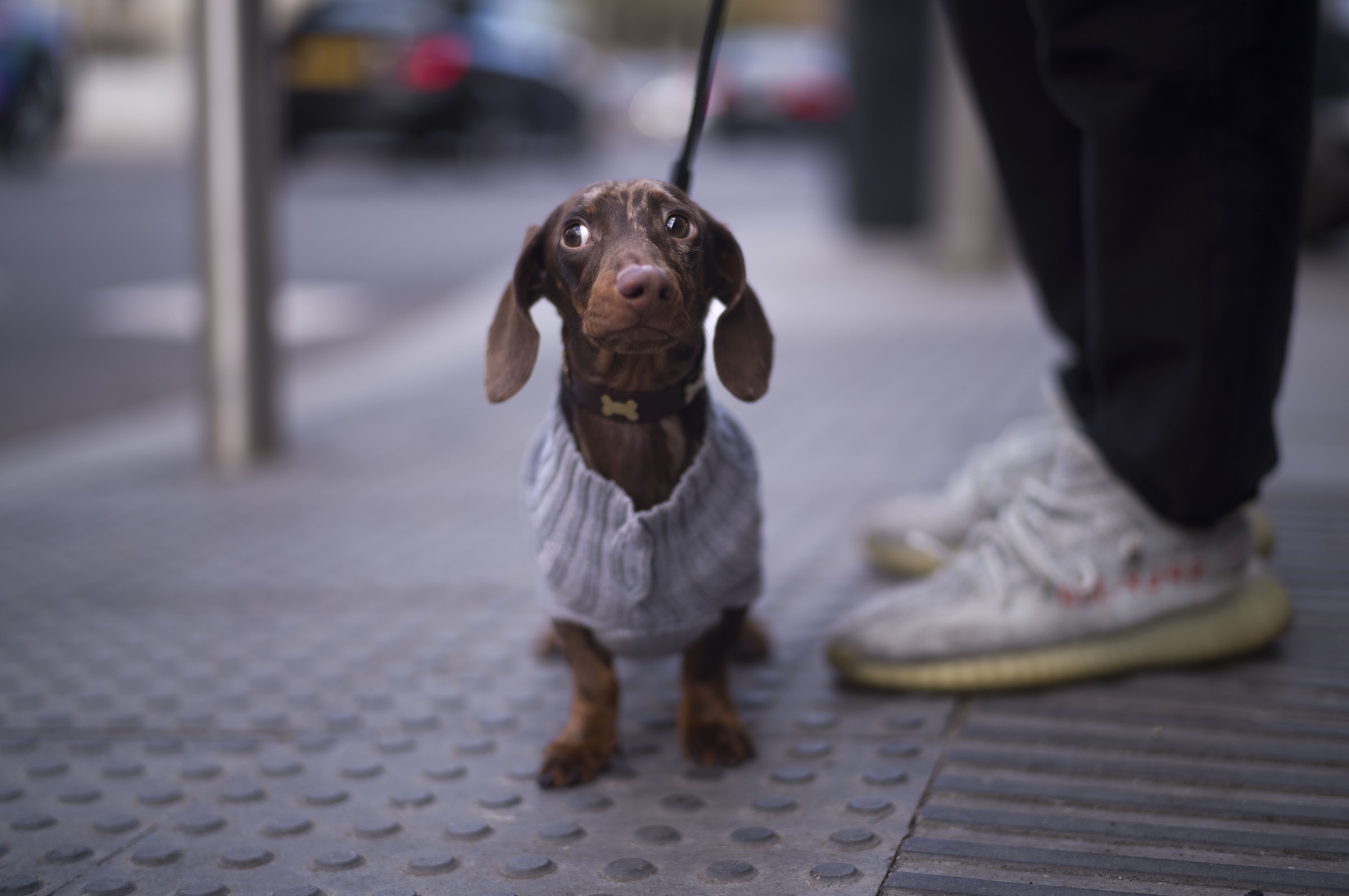 Dressed for the Street